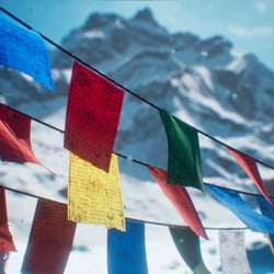 Stills 00010