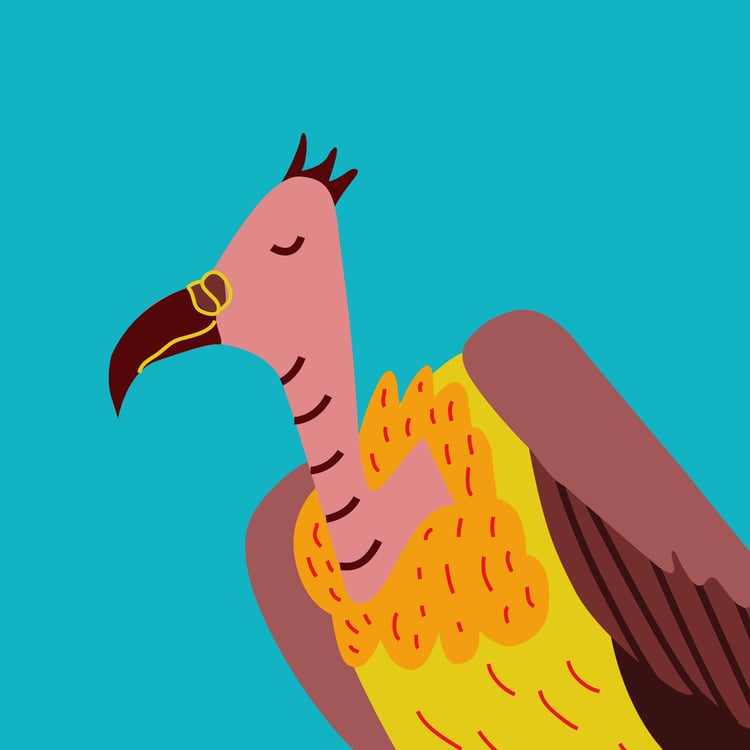 Maria Schmidt