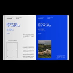 FFINE — EFA