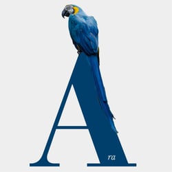 A wie Ara