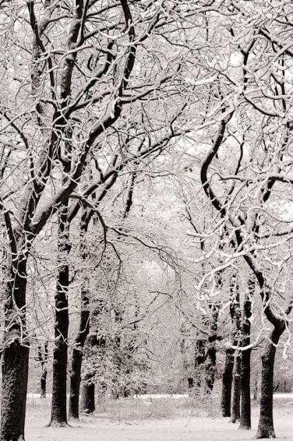 Winter-Impression-I