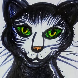 1981 Illustration Thema Katzen