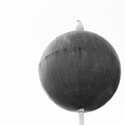 Fotografien