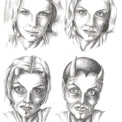 Illustration zum Thema Metamorphose