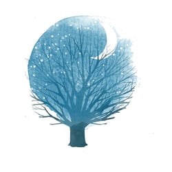 baum1