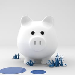 The Piggy – Double profit