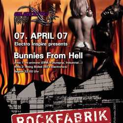 flyer bunnys