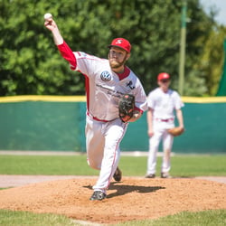 Stuttgart Reds – 1. Baseball Bundesliga