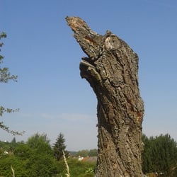 Was übrig blieb