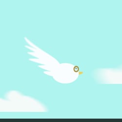 Bird flyng motion graphic