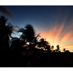 Maui