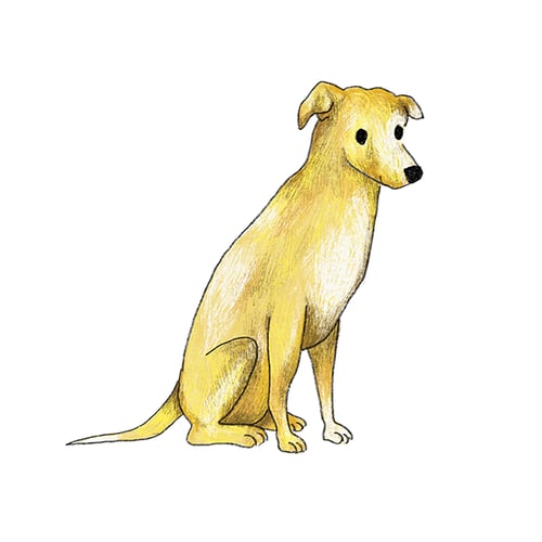 Filmbüro Gelber Hund