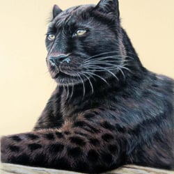 Pastell, Zeichnung by Nicole Zeug, nicolezeug.de