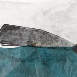 Whale Collage