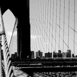 New York 03