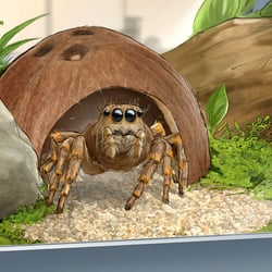 spider-love_hurts_4- animatic-low_art-illustration