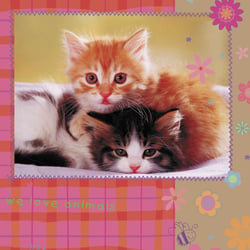 cats4