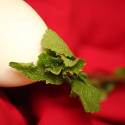 Food Photography 2012 Ei 03