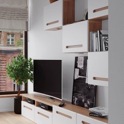 3D-Visualisierung von TV-Möbel und Hängeschrank
