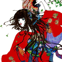 Roter Kimono web