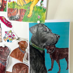 Dogs