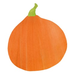 Organicator Illus