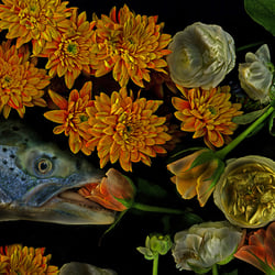 https://2020.photofringe.org/exhibitions/anderswelten?fbclid=IwAR0MsySNRtrs5WTjEfs6tPyj2mrinRKyv7QbwWiaOYcLnk2kekBcHpkiu88