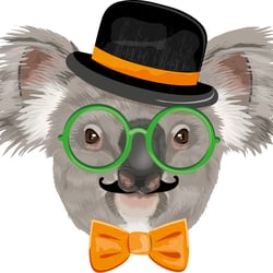 Koala Hipster