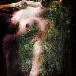 Torso 1108