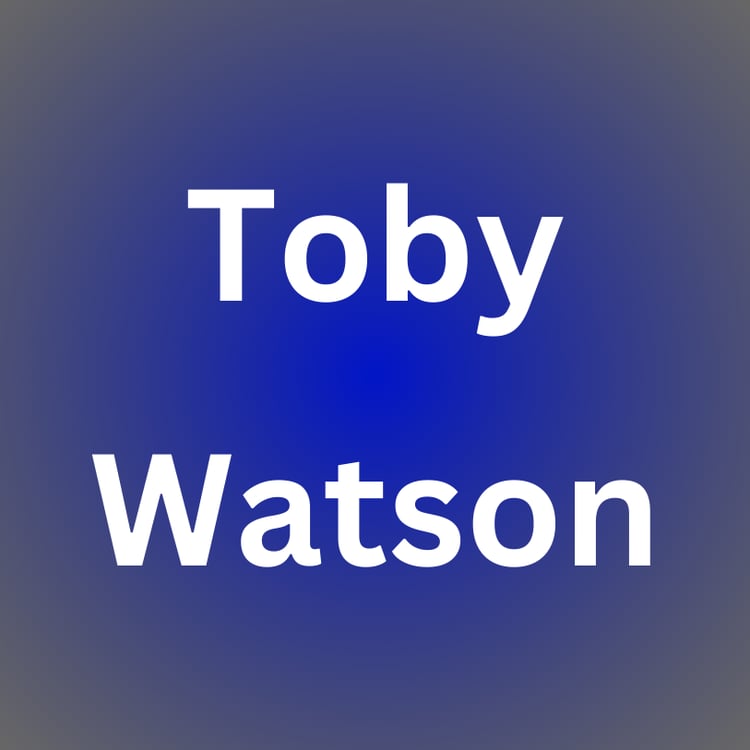 Toby Watson Goldman Sachs