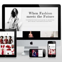 TMS – Web Design