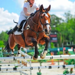 Springen, Weltmeisterschaft. Pferdesport .
