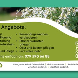 Flyerdesign