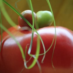 Food Fotografie 2012