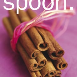 01 spoon 02.11