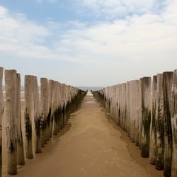 DSC1716