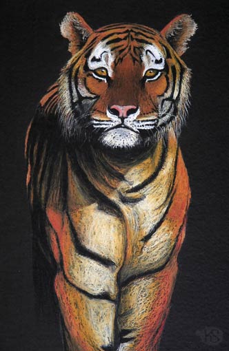 Tiger (Kreidezeichnung)