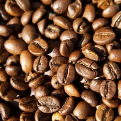 Kaffeebohnen