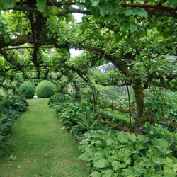 Apple tunnel
