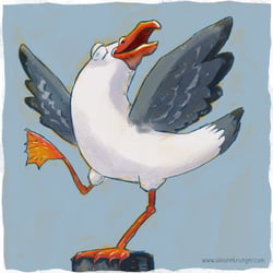 Tanzende Möwe