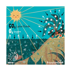 Breathe – OPW22