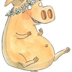 Schwein