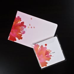 Portefolio 2009