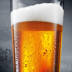 Craft Beer