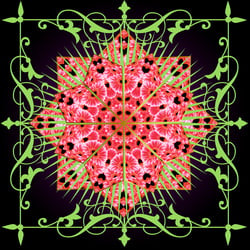 Gerbera