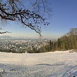 Grenzach-Wyhlen vom Mühlerain aus