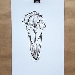 Florale Nostalgie Nelke 001