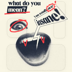NOT INSANE, Plakat Visual