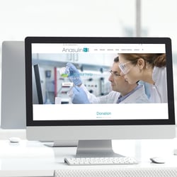 GillenDesign Protfolio Website Anasulin2