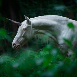 Tierfotografie StephanieBaer  0009